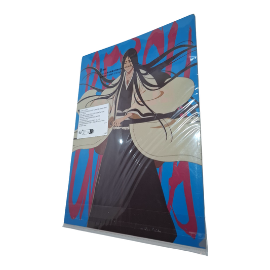 BLEACH Ichiban Kuji Kenpachi Zaraki & Retsu Unohana 2x A4 Clear File OVP
